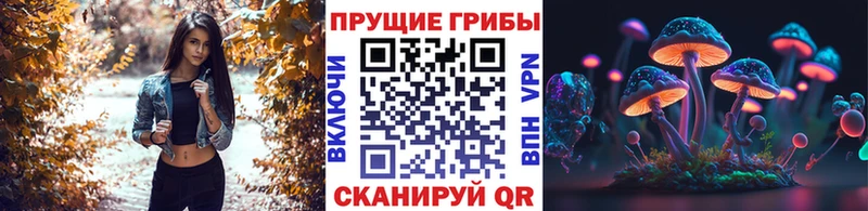 наркотики  Кострома  Псилоцибиновые грибы прущие грибы 